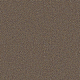 Camira Synegy LDS33.jpg
